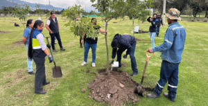 Funcionarios en la siembra de árboles en biocentenario.